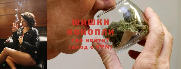 сатива Бронницы