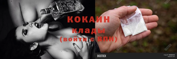 сатива Бронницы