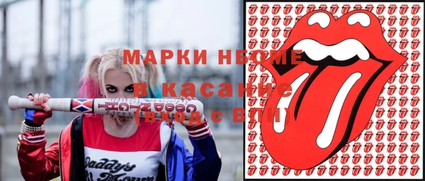 сатива Бронницы