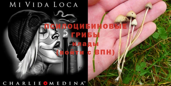 сатива Бронницы