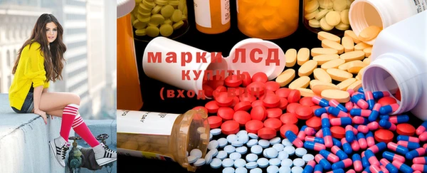 сатива Бронницы